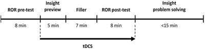 Left Prefrontal Cortex Supports the Recognition of Meaningful Patterns in Ambiguous Stimuli